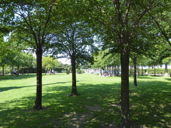 Small park with Japanese cherry trees at Langelinie, Copenhagen, Denmark