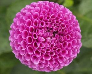 Rotational symmetry 3
