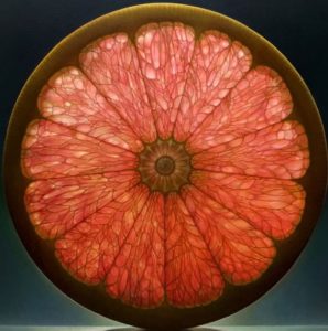 Rotational symmetry 7