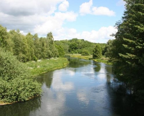 Stream in Denmark (Gudenåen)