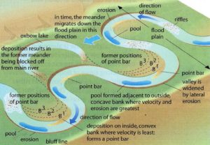 Dynamics of meanders