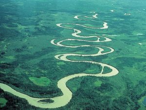 Meanders - a winding river