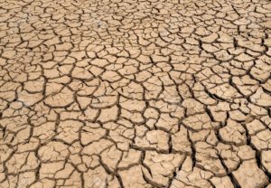 dry, drought and cracked ground