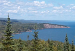 Boreal forest at Lake Superior in Minnesota