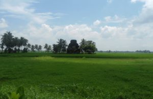 Eastern coastal plain in India