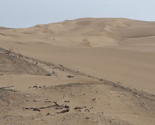 Peruvian Desert