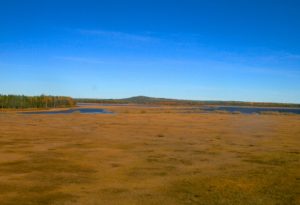 South Småland peneplain in Sweden
