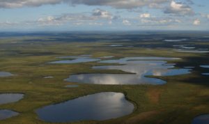 Tundra in Canada