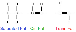 Cis fat and trans fat