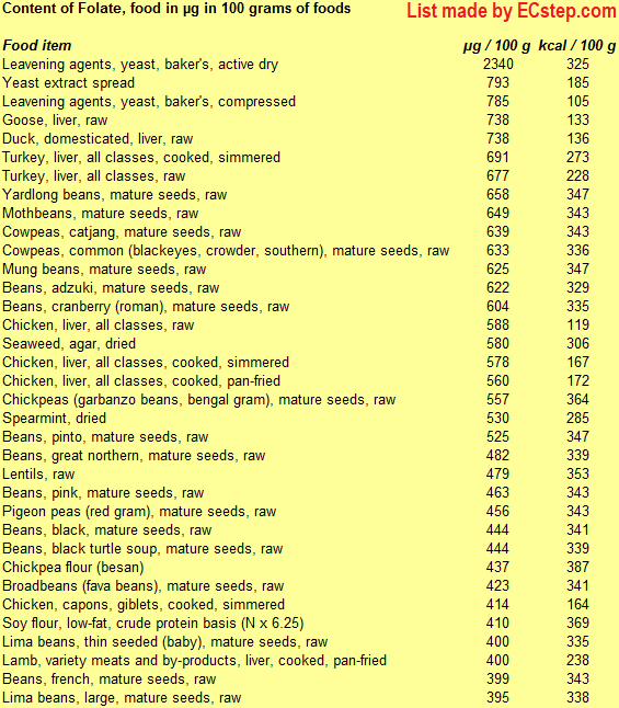 Detailed list of the foods with the highest content of folate or folic acid including information on calories made using ECstep's Personal Nutrition Data Program