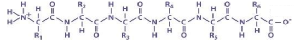 amino acid chain