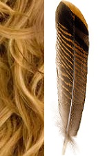 s-s bindings give strength to hairs and feathers