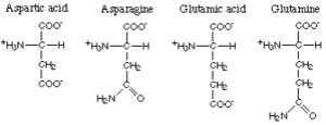 polar amino acids