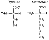 sulfur containing amino acids