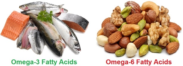 Foods with Omega-3 and Omega-6 Fatty Acids