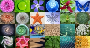 Natural Patterns
