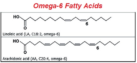 omega-6 fatty acids